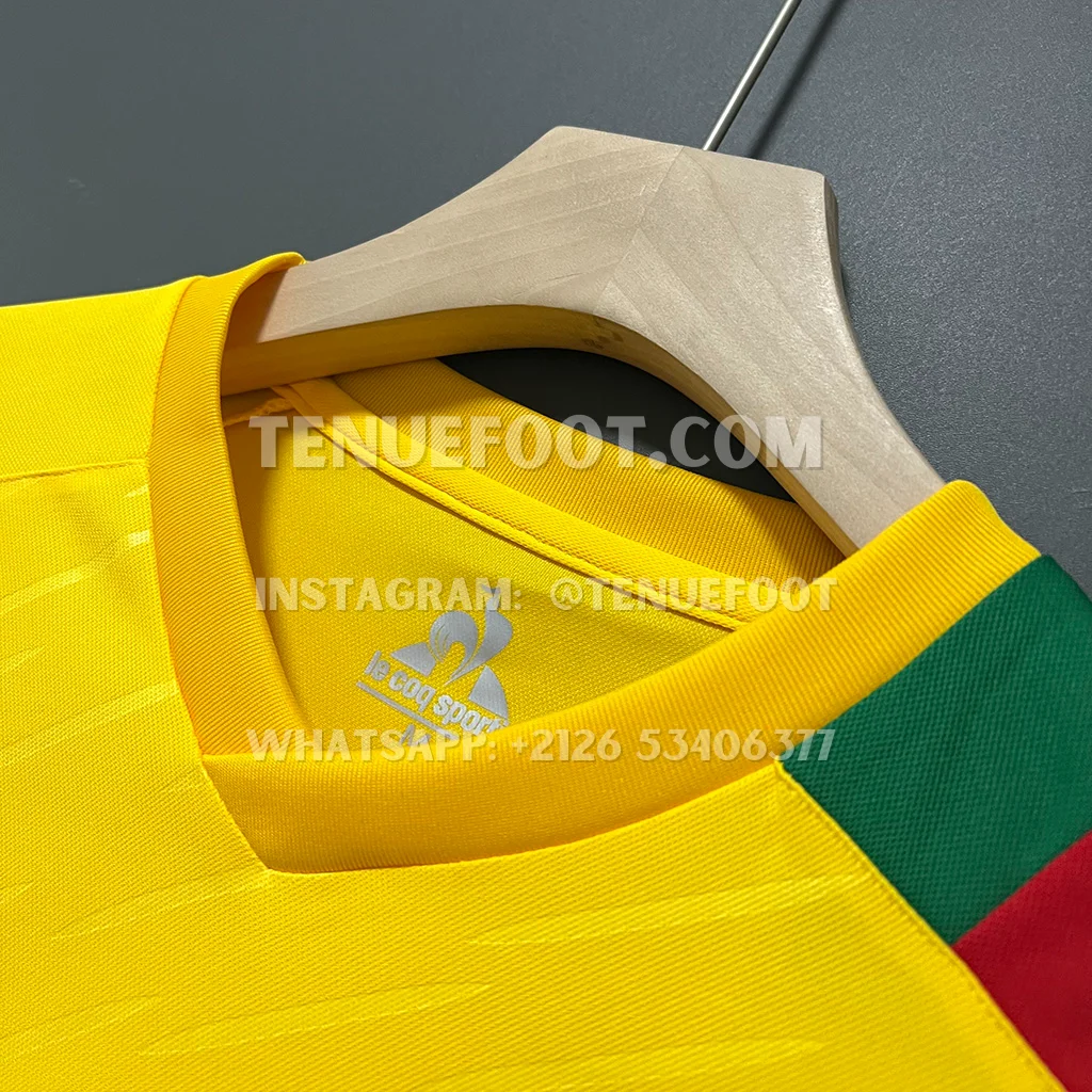 Cameroon Away (3)