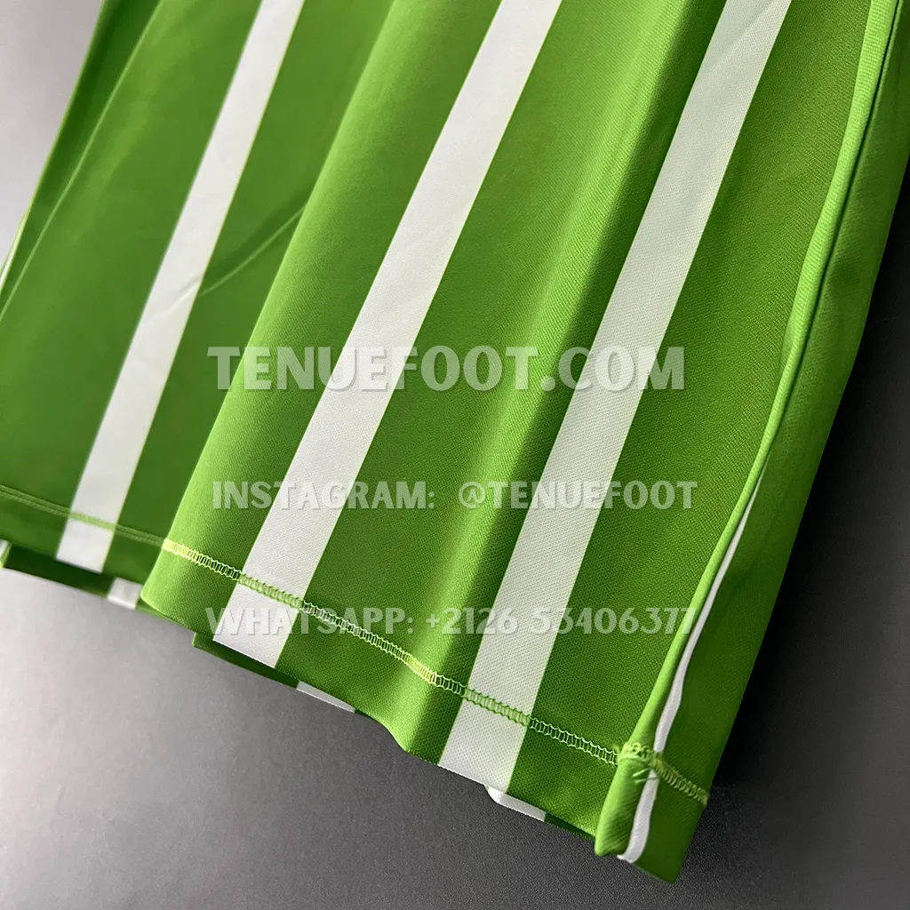 Palmeiras Retro 92-93 Home (5)