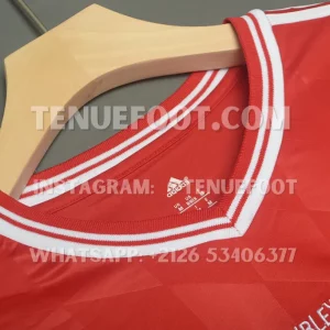 Bayern Munich Retro 13-14 Home LS (4)