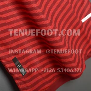 Bayern Munich Home Player Version (6)