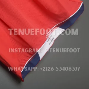 England Retro 2010 Away (6)