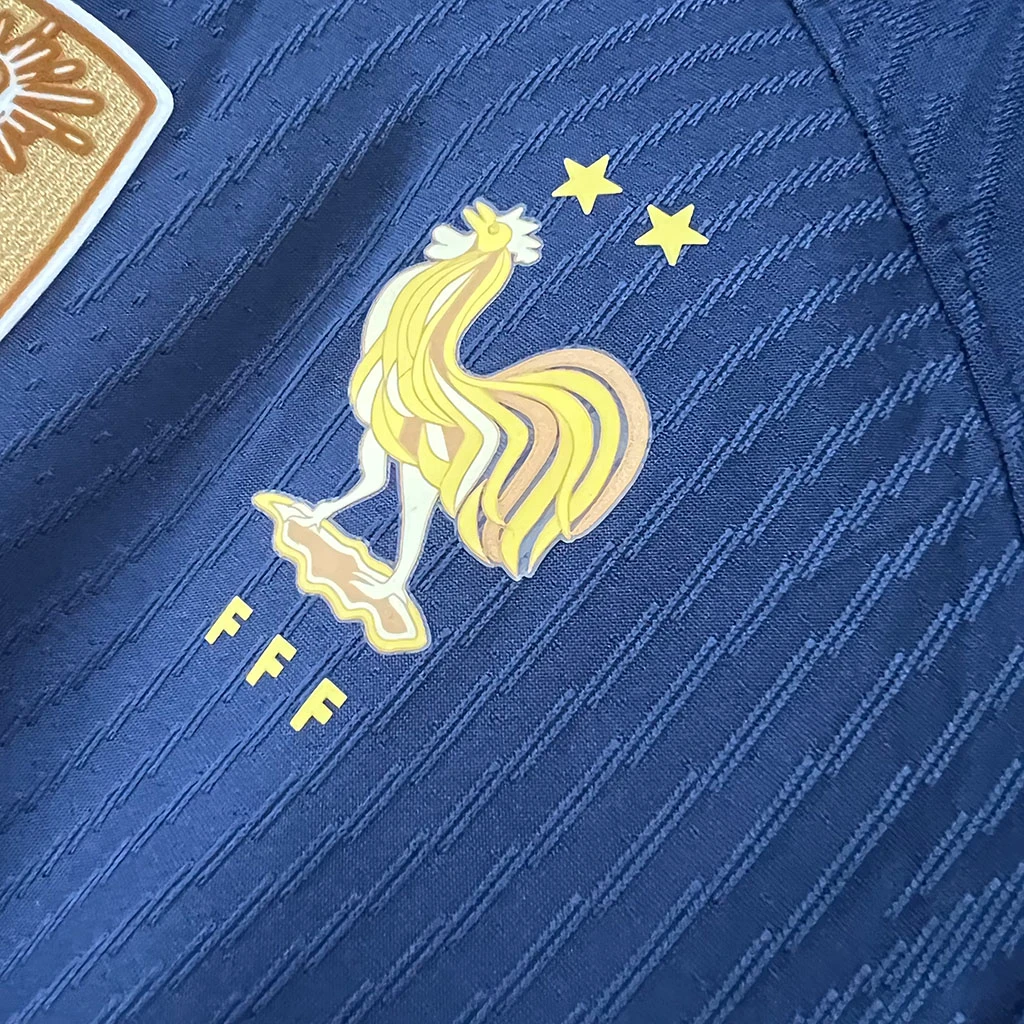 France Home Player Version (2)