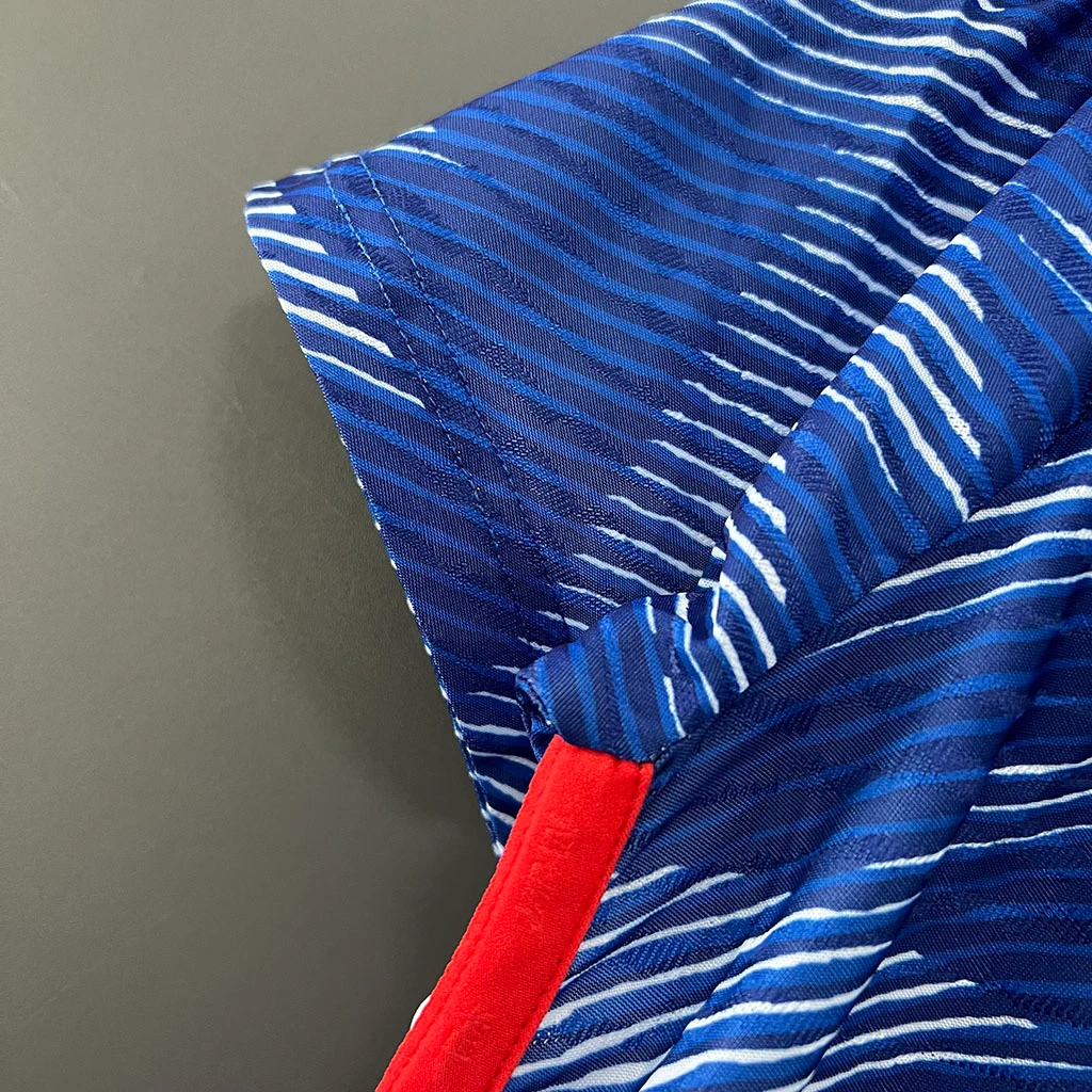 Japan Home Player Version (4)