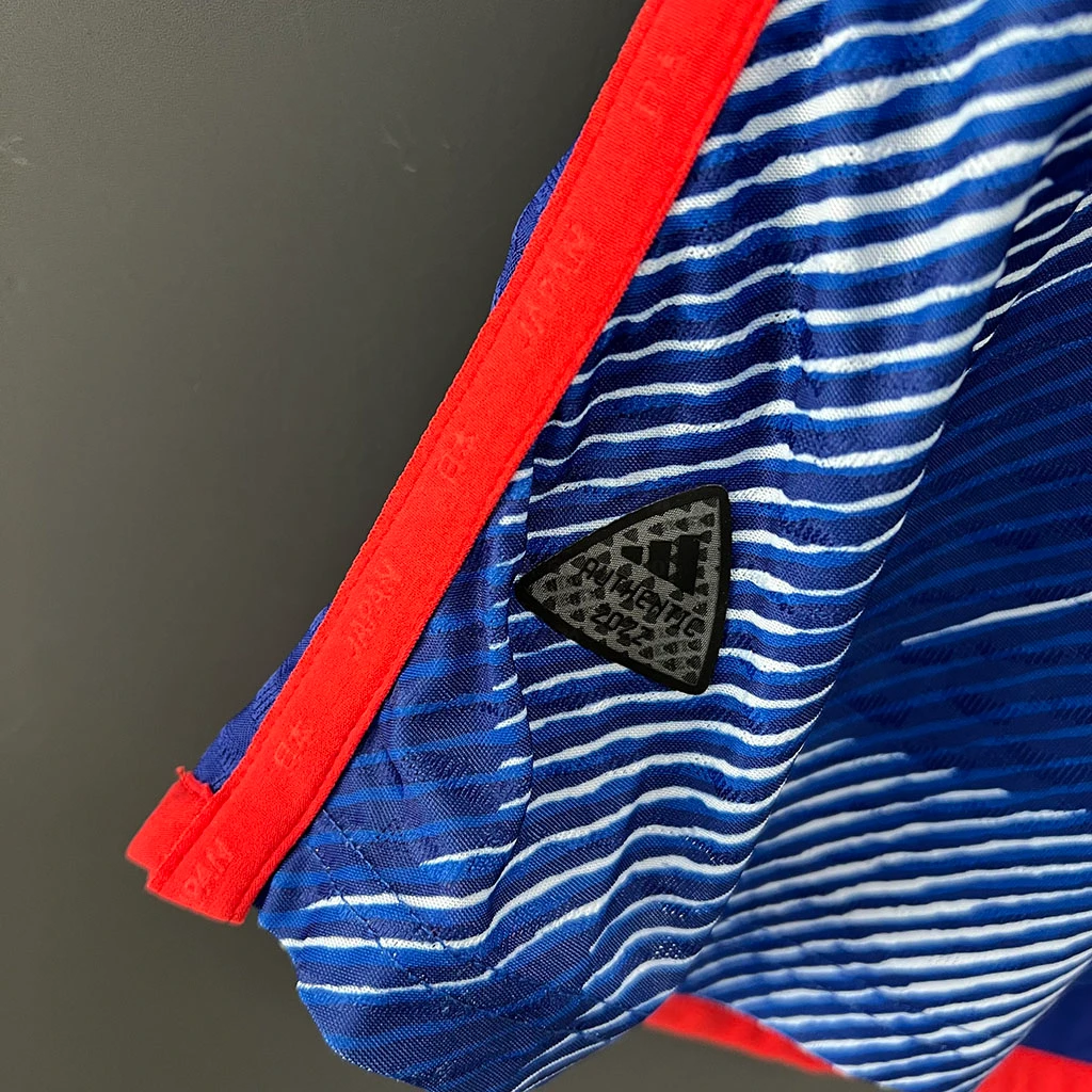 Japan Home Player Version (5)