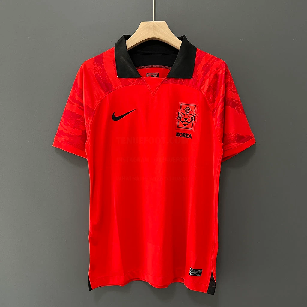 Korea Home (1)