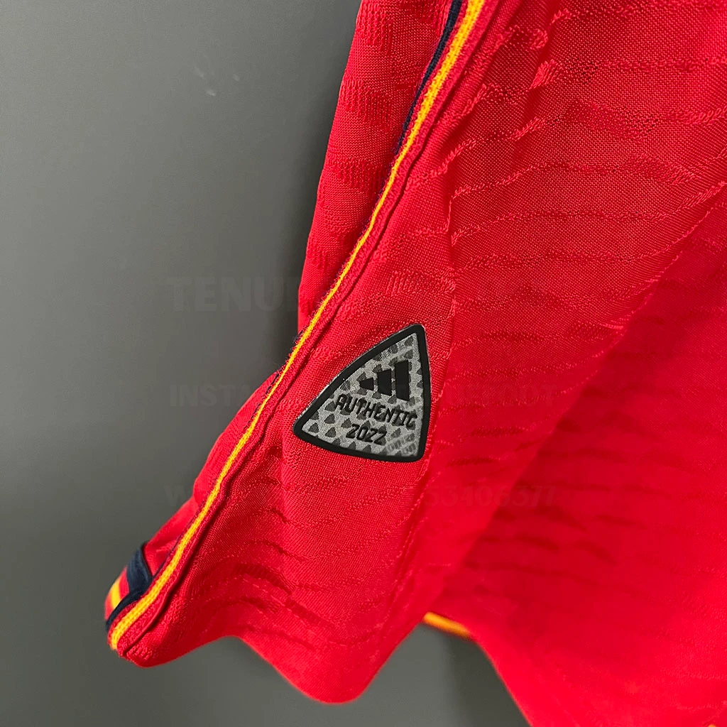 Spain Home Player Version (5)