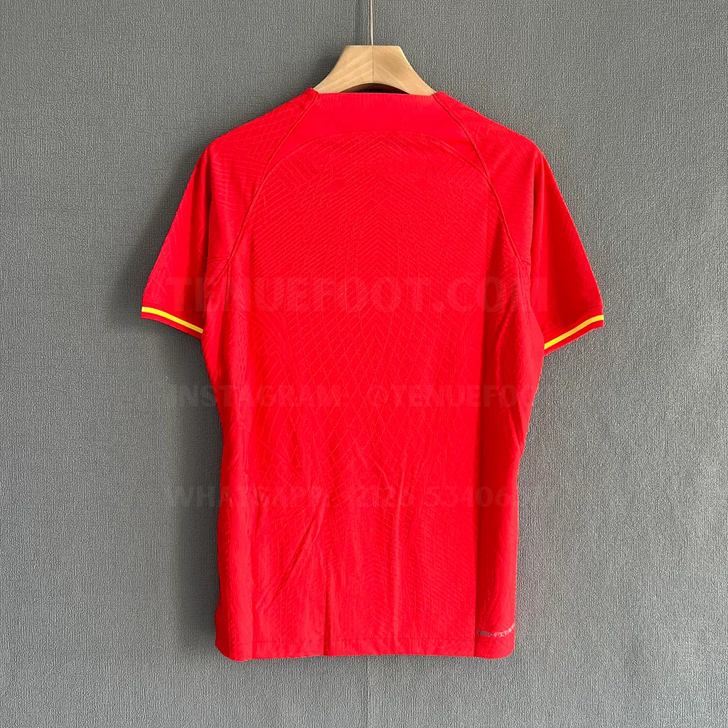 China Home Player Version (7)