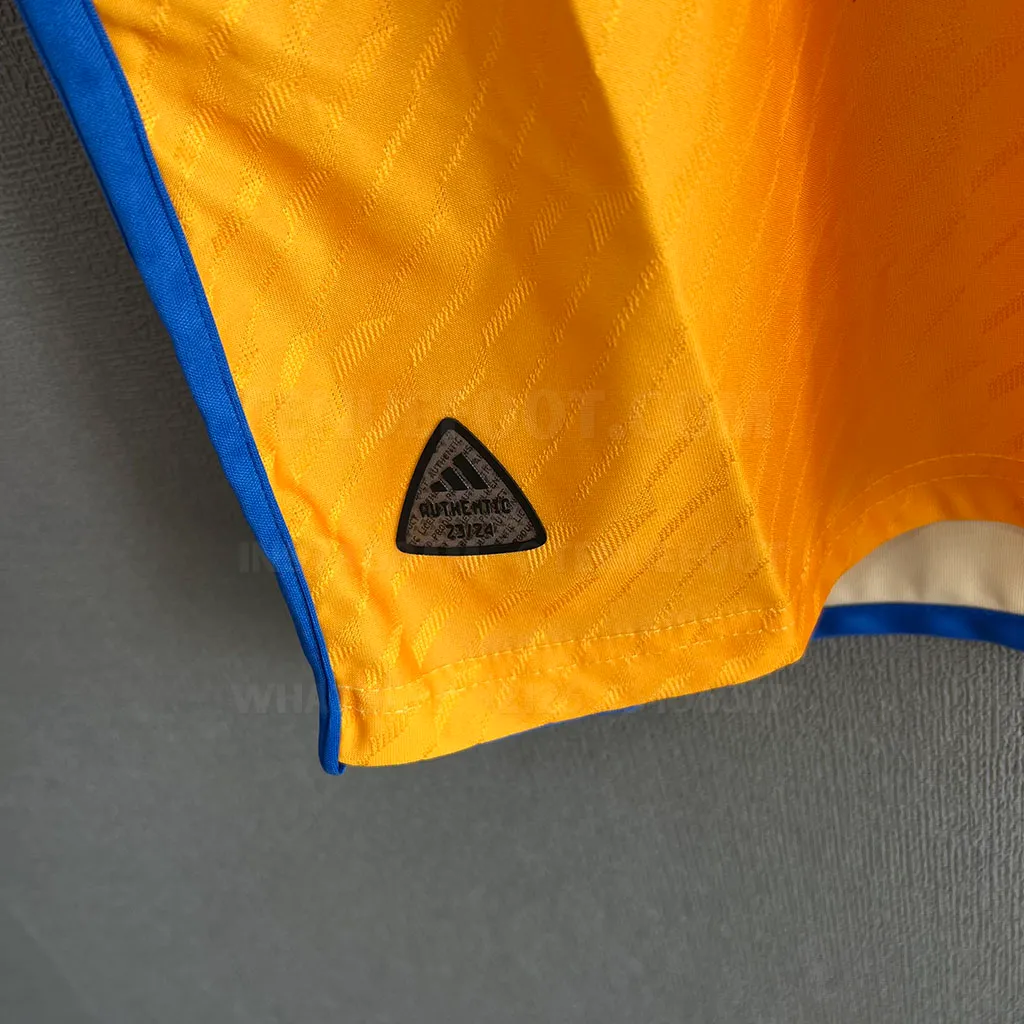 Tigres Home Player Version (5)