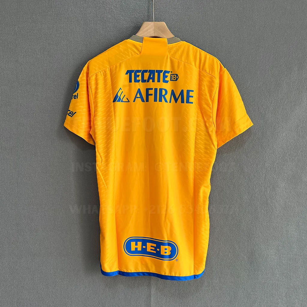 Tigres Home Player Version (7)