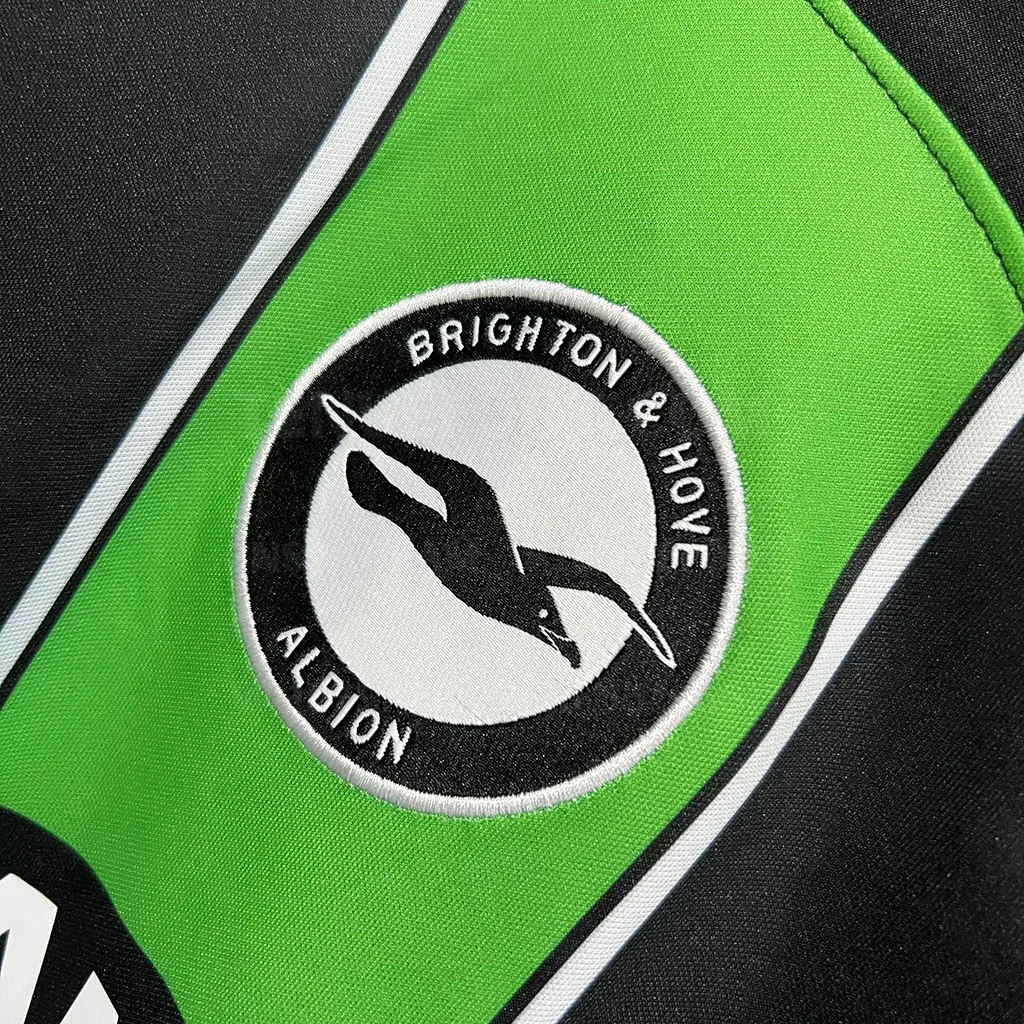 Brighton _ Hove Albion Away (2)