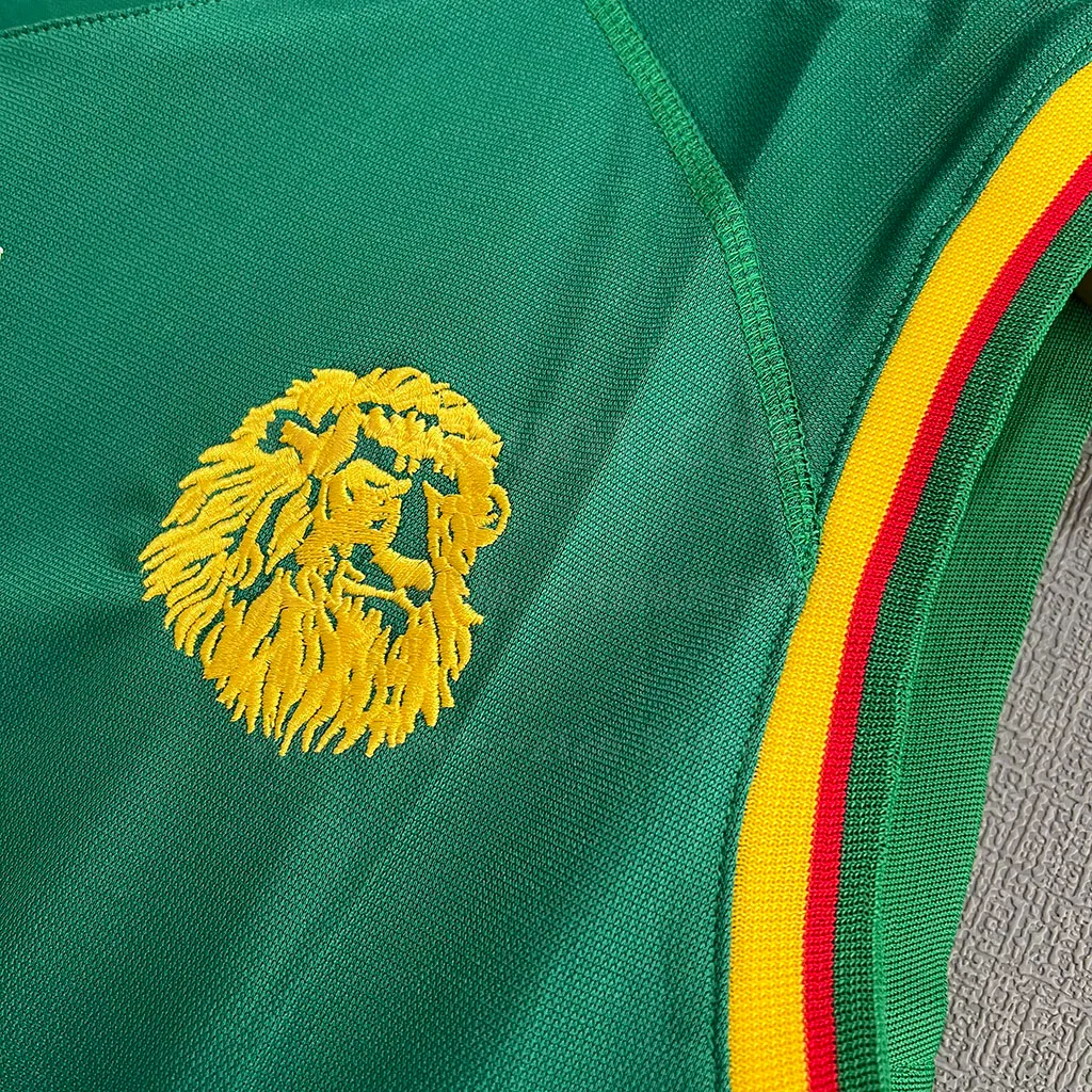 Cameroom Retro 2002 Home (3)