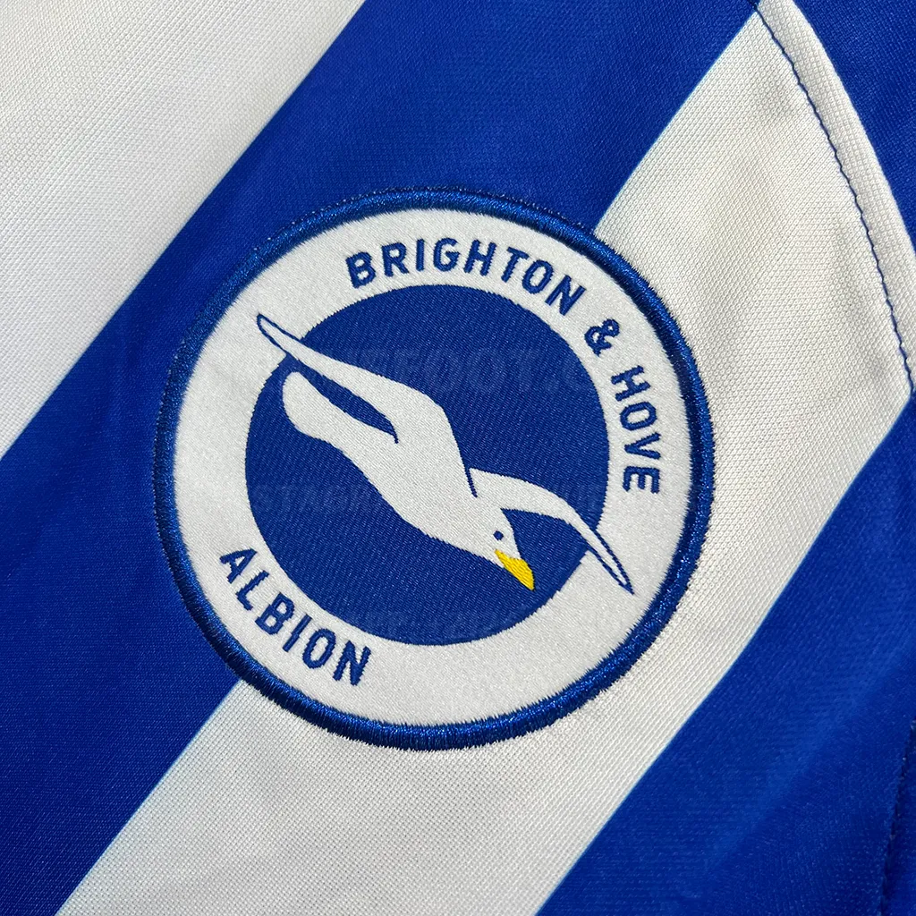 Brighton _ Hove Albion Home (2)