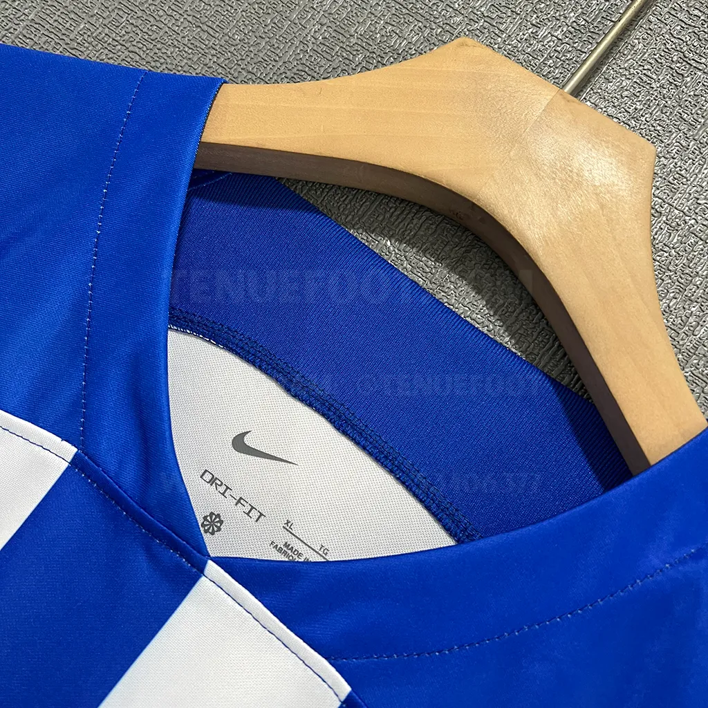 Brighton _ Hove Albion Home (3)