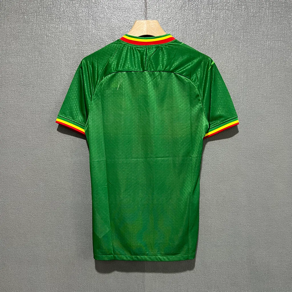 Mali Africa Cup Away Player Version (7)