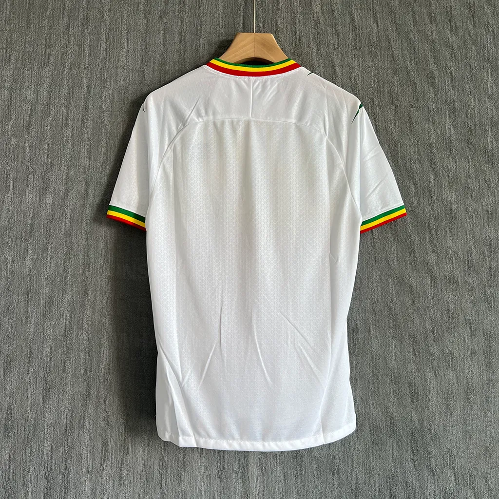 Mali Africa Cup Home Player Version (7)
