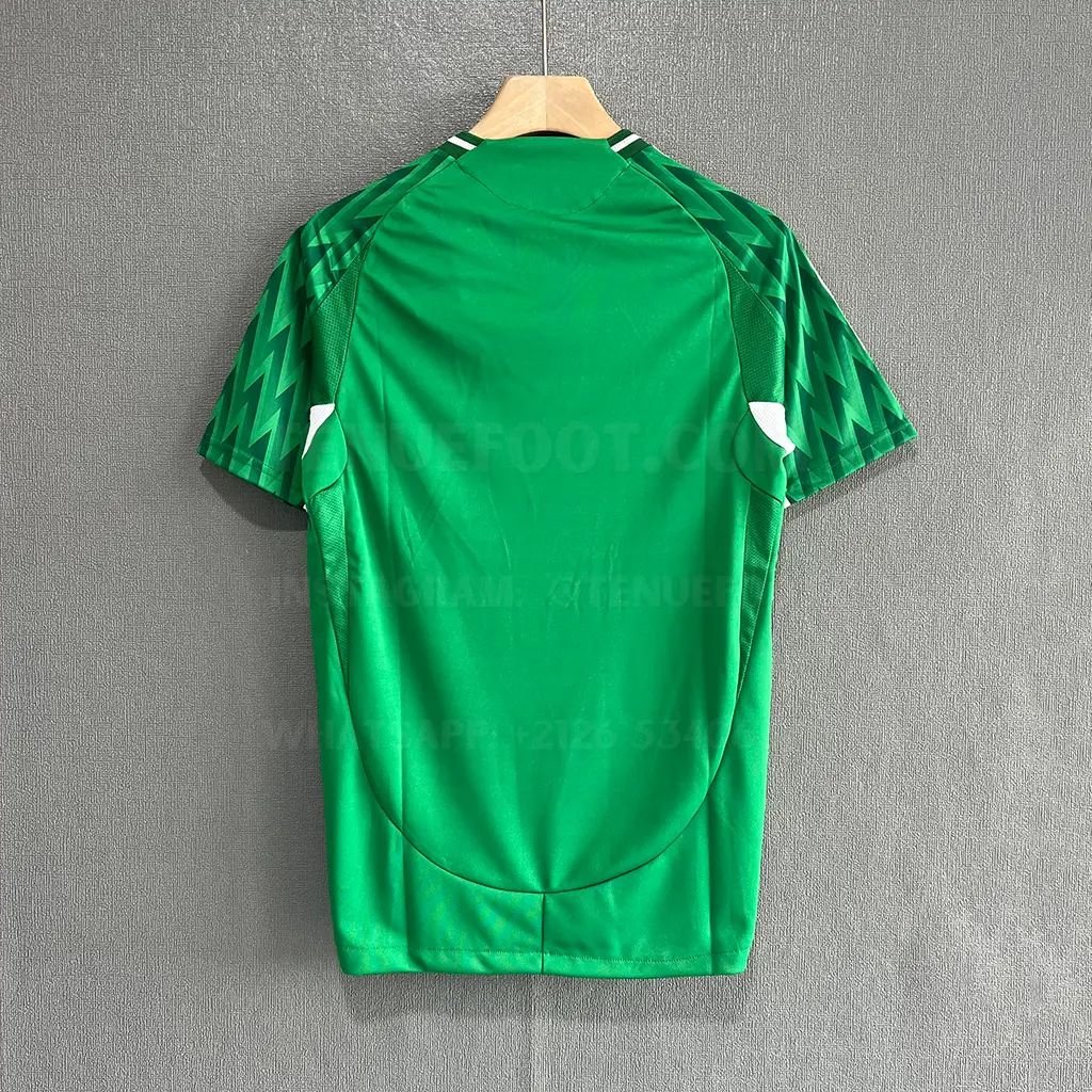 Palmeiras Special Green Player Version (7)