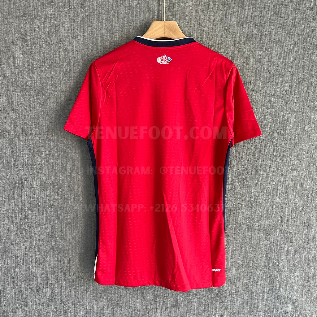 Lille Home Player Version (7)