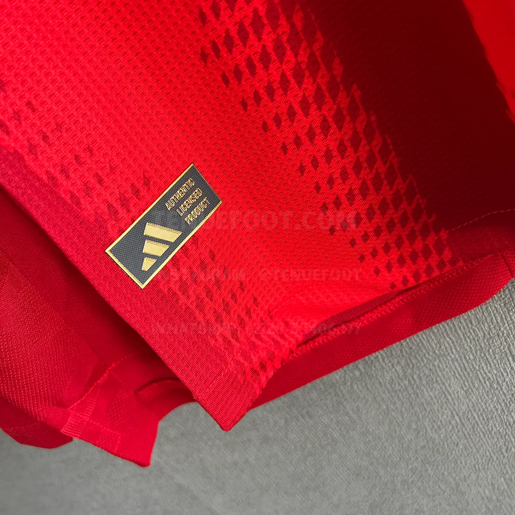 Bayern Munich Home LS Player Version (5)