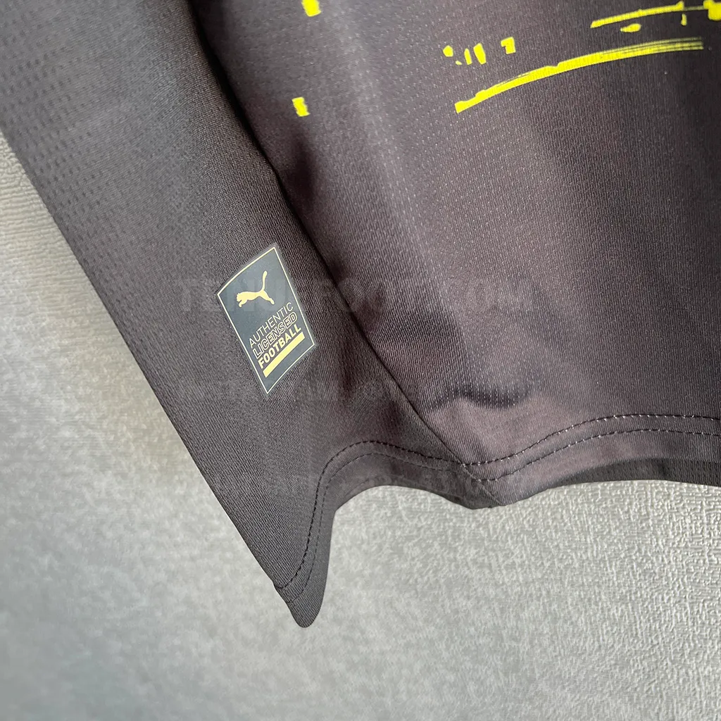 PSV Eindhoven Away (5)