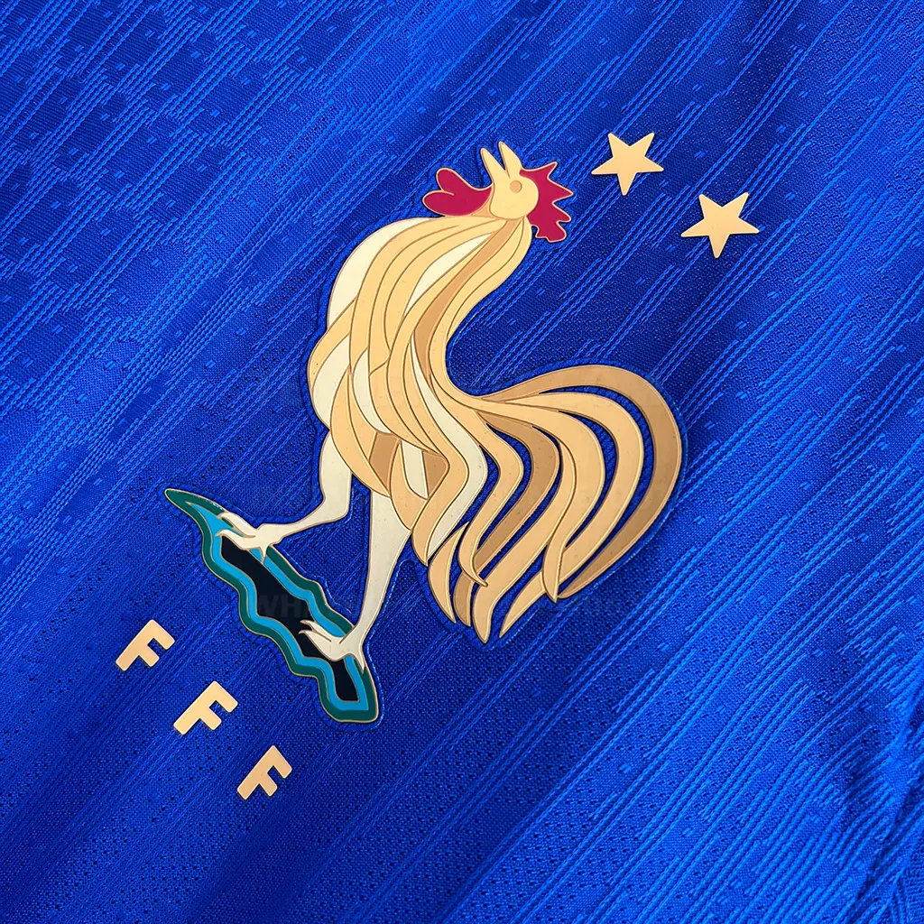 France Home LS Player Version (2)