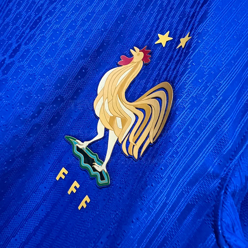 France Home Player Version (2)