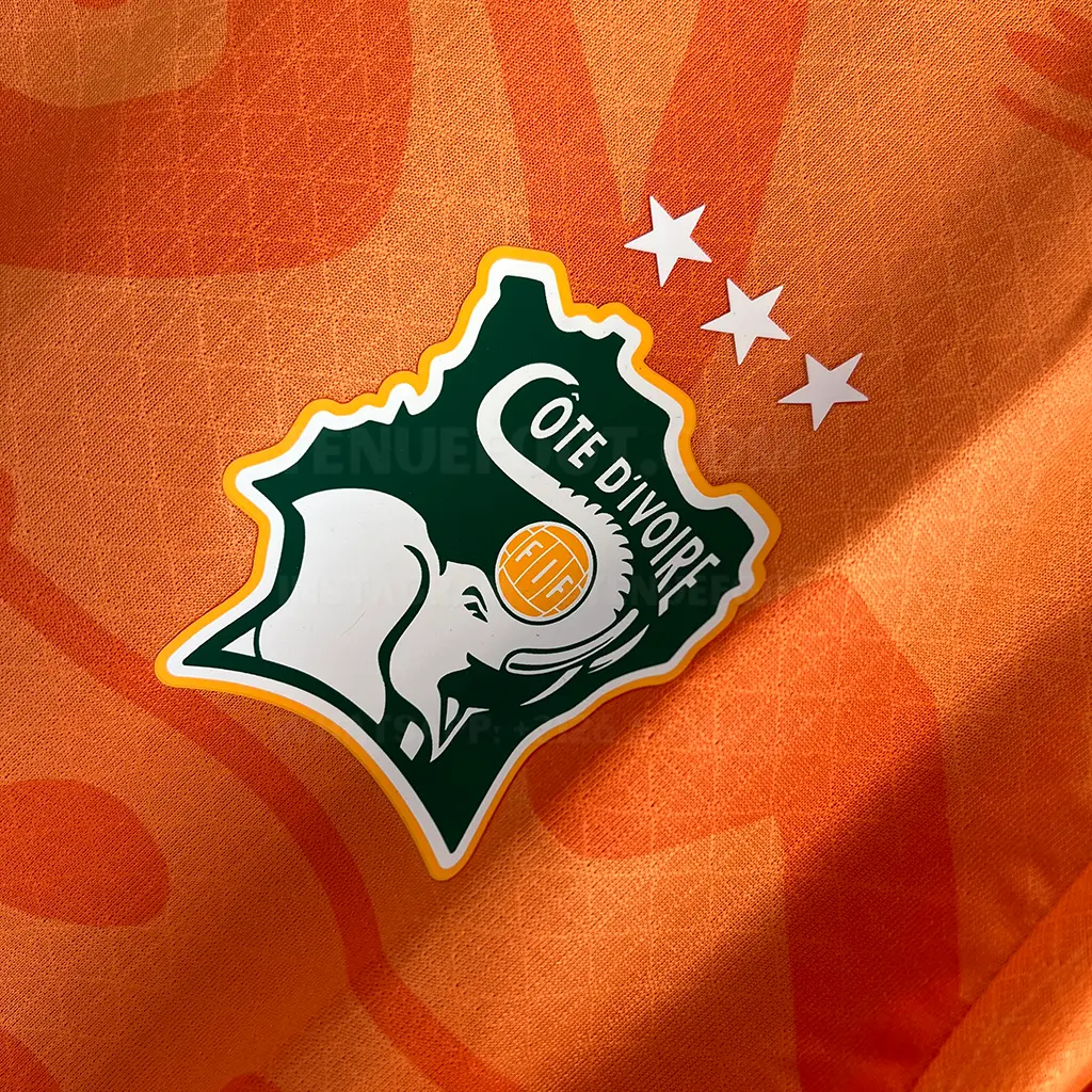 Ivory Coast Home Player Version (2)