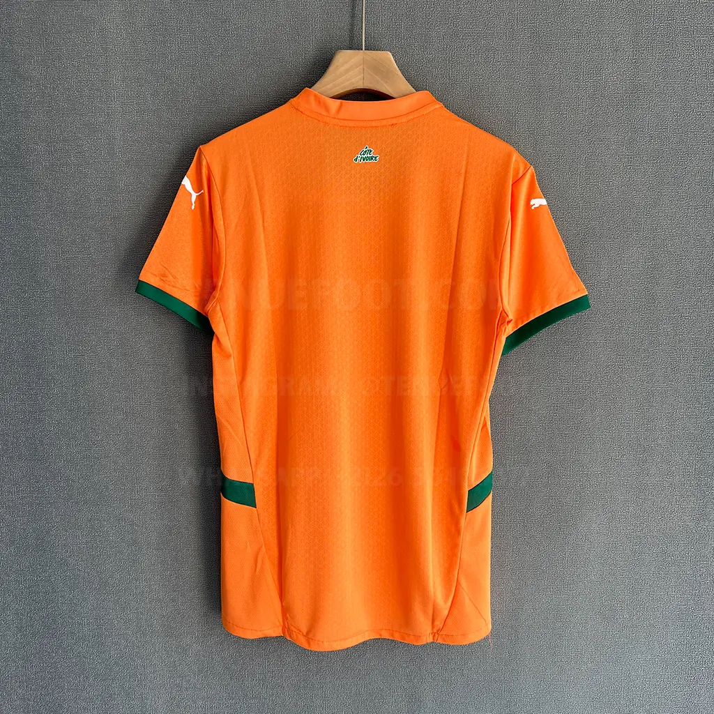 Ivory Coast Home Player Version (7)